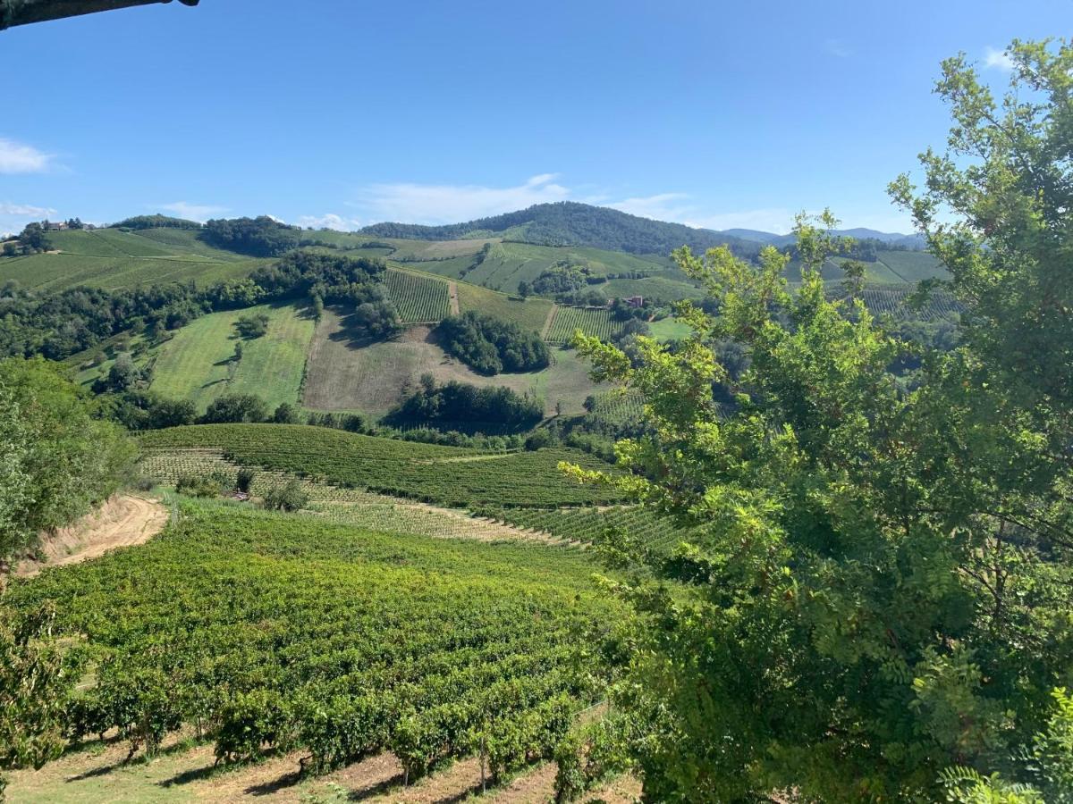 Agriturismo I Gessi Calvignano 外观 照片