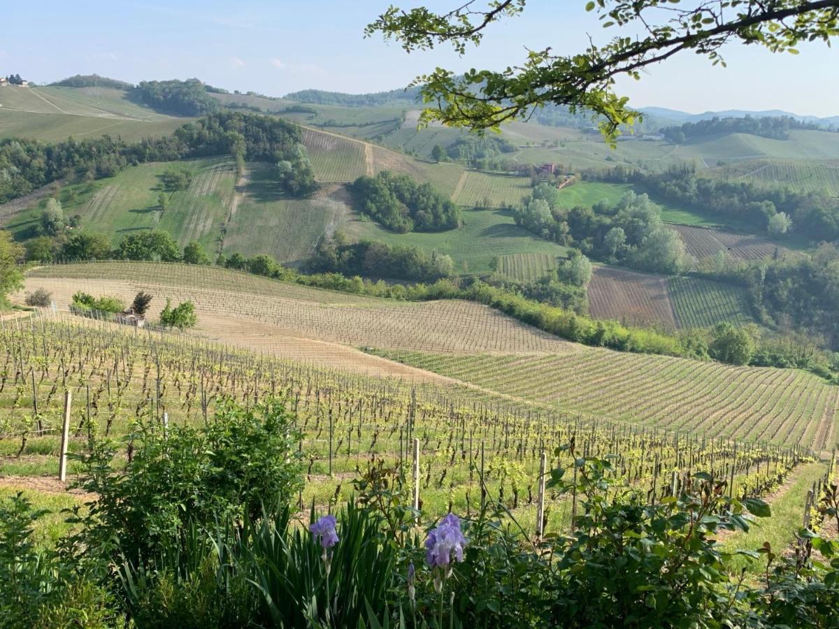 Agriturismo I Gessi Calvignano 外观 照片